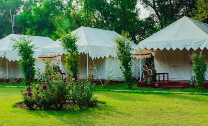 hotel ranthambore