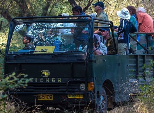 Canter Safari