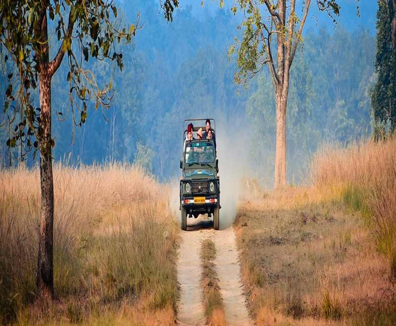 Safari in Ranthambore National Park
